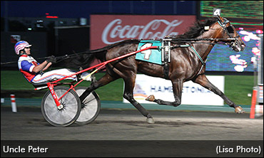 Uncle Peter To Stand Stud