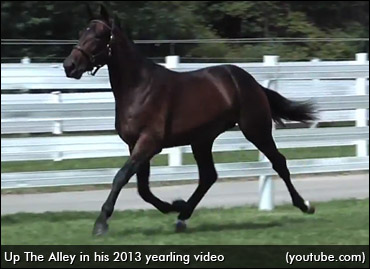 Sale Topper Set to Debut