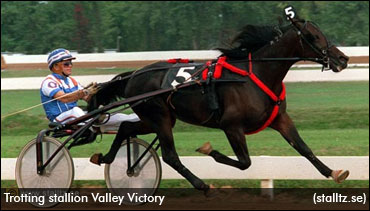 Valley Victory Euthanized