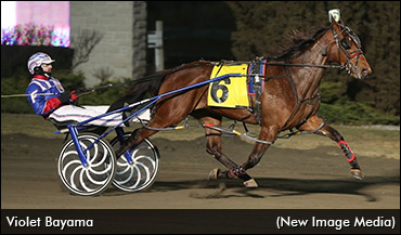 'Violet' Seeks Blossom Repeat