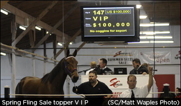 V I P Tops Spring Fling Sale
