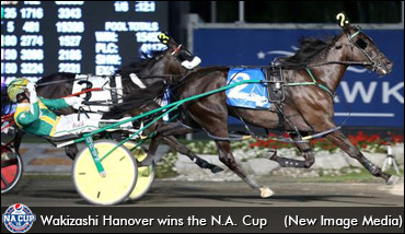 Vacation Time For Wakizashi Hanover