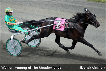 Walner Wows At The Meadowlands Walner Wows At The Meadowlands