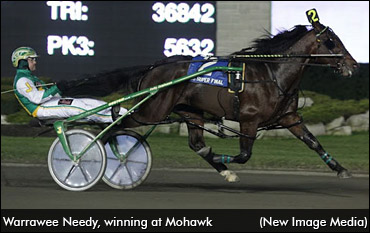 Canadian Yearling Sale First Session Complete