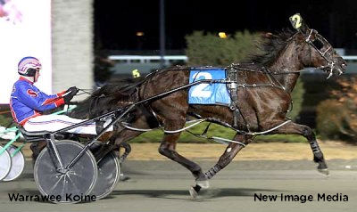 'Koine' Draws First Blood In Silver Reign