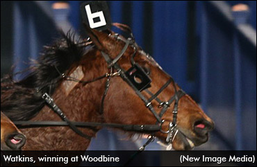Watkins, Waples Win At Woodbine