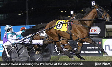 Awesomeness Best At The Meadowlands