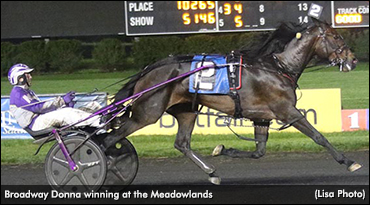 'Donna', MacIntosh Shine At The Big M
