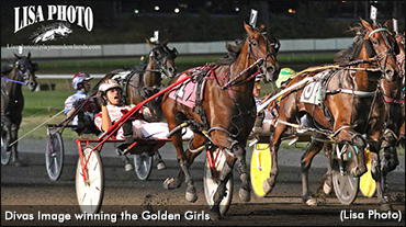 'Image' Ignites Tote In Golden Girls