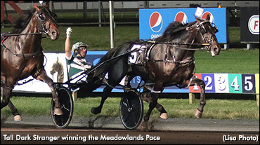 Tall Dark Stranger Scores In Meadowlands Pace