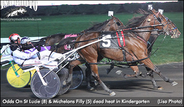 Fillies Dead Heat In Kindergarten