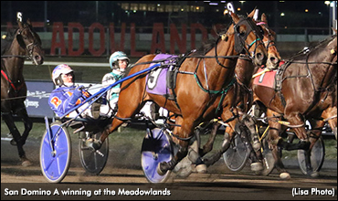 San Domino Delivers At The 'Big M'