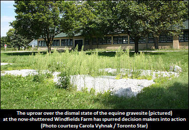 Neglect Outrage Sparks Action