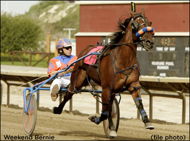 More On 'Bernie’s Record Mile