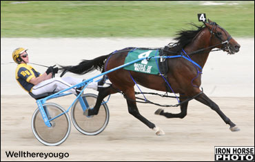 Wellthereyougo Readies For Rideau