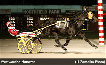 New Stallions For PEI