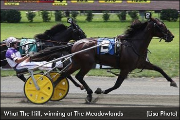 Burke Seeks Third Straight Wellwood