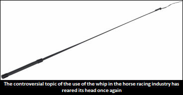 Uproar Over Results Of Whipping Study