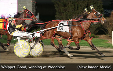 From Steel Mill To Sale Steal