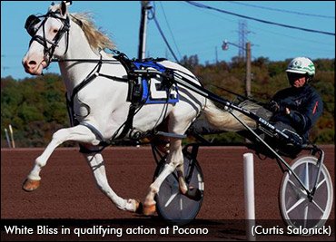 White Bliss Third In Debut