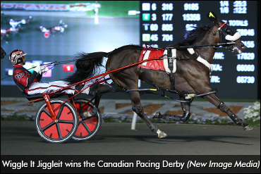 Say Hey, It's Wiggle It Jiggleit