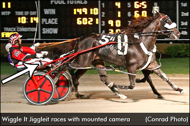 Up Close With Wiggle It Jiggleit