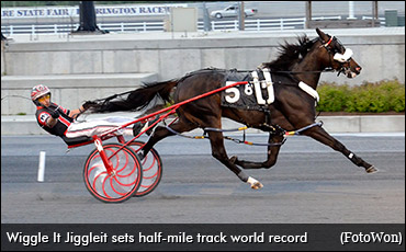 Wiggle It Jiggleit Back In To Go Wiggle It Jiggleit Back In To Go