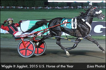 Wiggle It Jiggleit Best In The U.S. Wiggle It Jiggleit Best In The U.S.