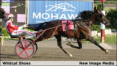 Wildcat Shoes Tops March Madness