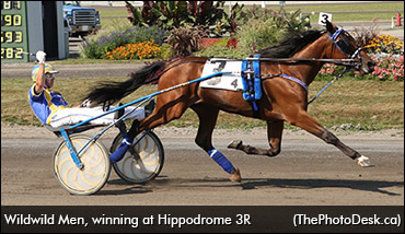 Colt Provides A 'Wildwild' Ride