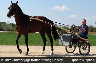 A Sure Bet For Johnny Longshot?