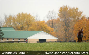 Saying Goodbye To Windfields