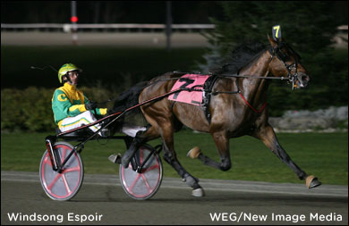 Windsong Espoir On The Comeback Trail