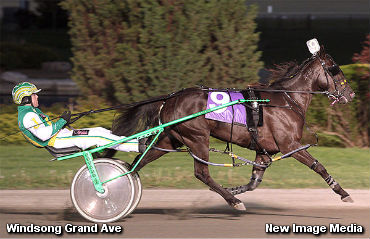 Series Record For Windsong Grand Ave
