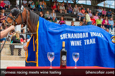 First Two-Year-Old Winner Of 2014