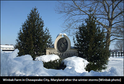 Winbak's Winter Wonderland