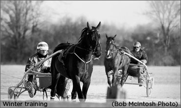 Call For Two-Year-Olds