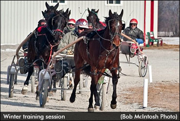 Canada's Two-Year-Olds In Training