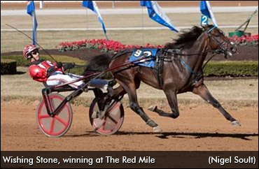 Wishing Stone To Retire, Stand Stud