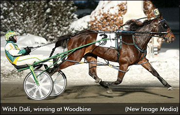 How Nice Is Witch Dali?