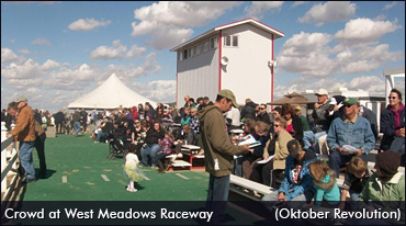 West Meadows To Close?