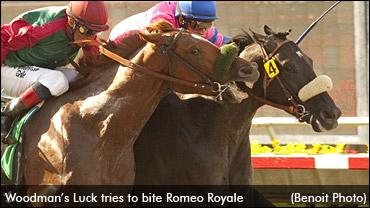 Nearly Bitten, But Not Beaten 