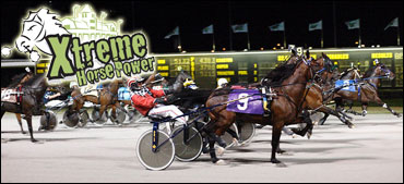 Xtreme Miniature Horses Are Back!