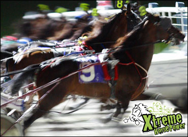 Xtreme Handicapping Challenge Set
