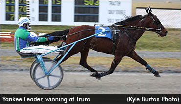 Yankee Leader Euthanized