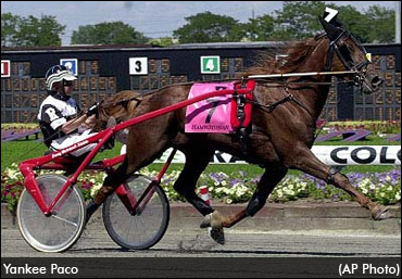 Canadians’ Career-Changing Hambo