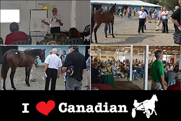 Workshop Educates Potential Buyers