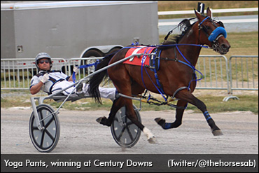 All Eyes On Yoga Pants Saturday