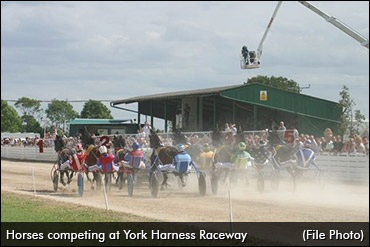 Blow To British Harness Racing