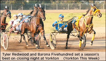 Yorkton Meet A Success